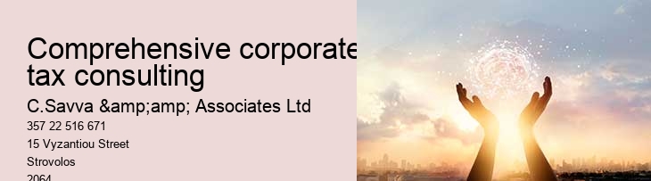 Comprehensive corporate tax consulting