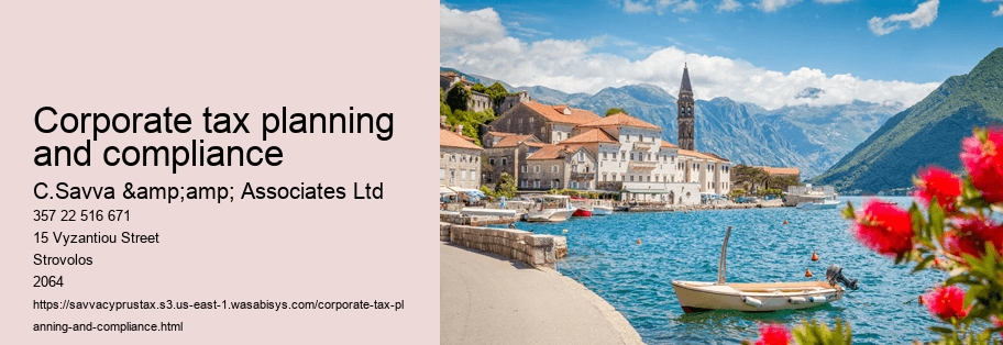 Corporate tax planning and compliance