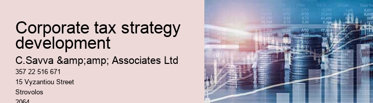 Corporate tax strategy development